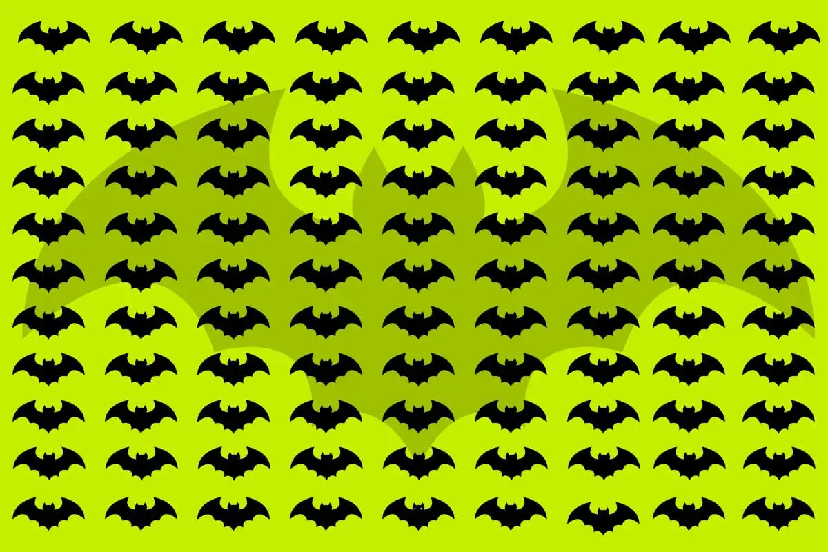 Can You Spot The Different Bats In This Mind Boggling Visual Challenge